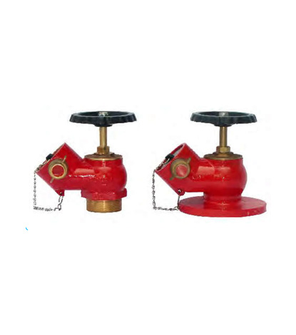 Dry Landing Valve
