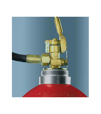 Carbon Dioxide Extinguishing Systems