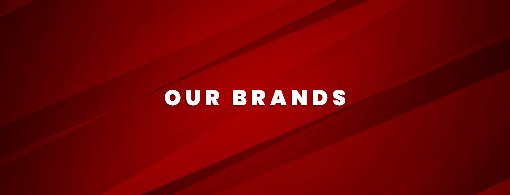 Our Brands